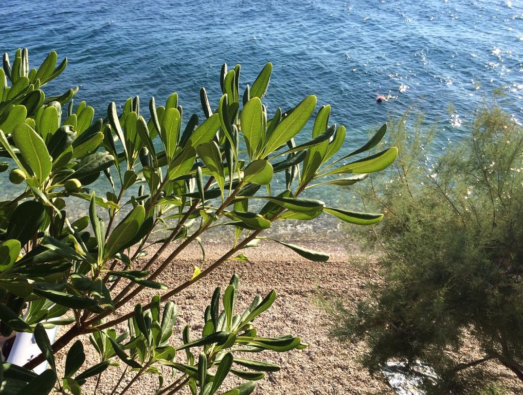 Holiday Home Mala Duba Živogošće Pokoj fotografie